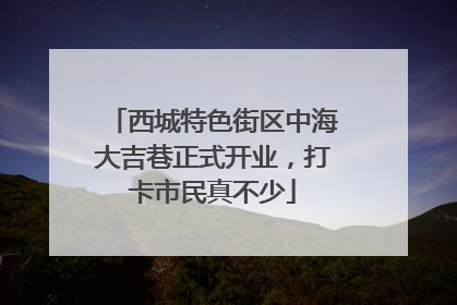 西城特色街区中海大吉巷正式开业，打卡市民真不少