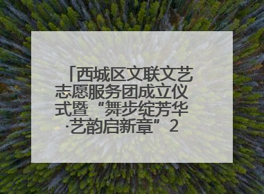 西城区文联文艺志愿服务团成立仪式暨“舞步绽芳华·艺韵启新章”2025年舞蹈大赛展演圆满举办