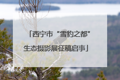 西宁市“雪豹之都”生态摄影展征稿启事