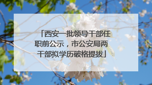 西安一批领导干部任职前公示，市公安局两干部拟学历破格提拔