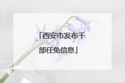 西安市发布干部任免信息