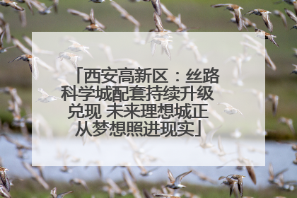 西安高新区：丝路科学城配套持续升级兑现 未来理想城正从梦想照进现实