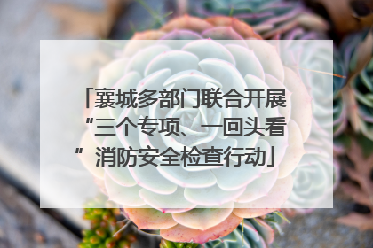 襄城多部门联合开展“三个专项、一回头看”消防安全检查行动
