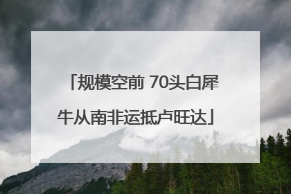 规模空前 70头白犀牛从南非运抵卢旺达