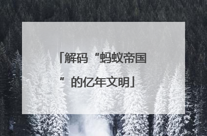 解码“蚂蚁帝国”的亿年文明