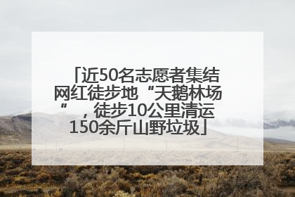 近50名志愿者集结网红徒步地“天鹅林场”，徒步10公里清运150余斤山野垃圾