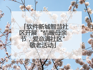软件新城智慧社区开展“情暖母亲节，爱意满社区”敬老活动