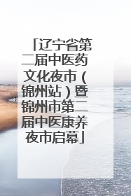 辽宁省第二届中医药文化夜市（锦州站）暨锦州市第二届中医康养夜市启幕