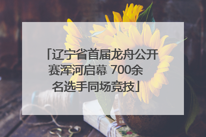 辽宁省首届龙舟公开赛浑河启幕 700余名选手同场竞技