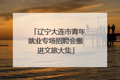 辽宁大连市青年就业专场招聘会搬进文旅大集