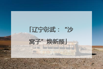 辽宁彰武：“沙窝子”焕新颜