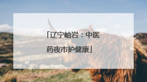 辽宁岫岩：中医药夜市护健康