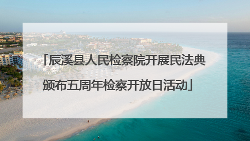 辰溪县人民检察院开展民法典颁布五周年检察开放日活动