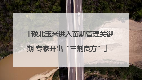 豫北玉米进入苗期管理关键期 专家开出“三剂良方”