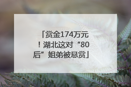 赏金174万元！湖北这对“80后”姐弟被悬赏