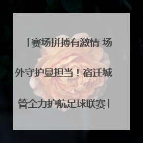 赛场拼搏有激情 场外守护显担当！宿迁城管全力护航足球联赛