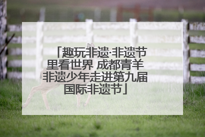 趣玩非遗·非遗节里看世界 成都青羊非遗少年走进第九届国际非遗节