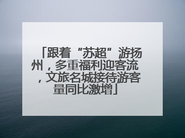 跟着“苏超”游扬州，多重福利迎客流，文旅名城接待游客量同比激增