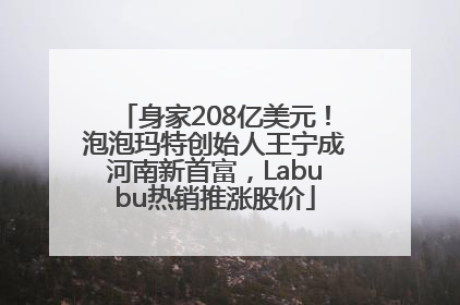 身家208亿美元！泡泡玛特创始人王宁成河南新首富，Labubu热销推涨股价