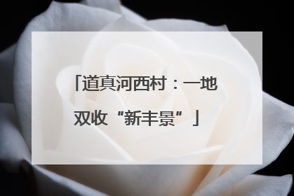 道真河西村：一地双收“新丰景”
