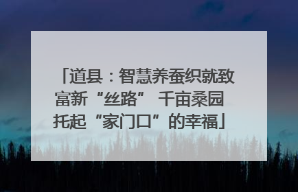 道县：智慧养蚕织就致富新“丝路” 千亩桑园托起“家门口”的幸福