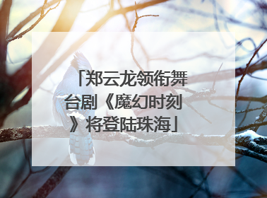 郑云龙领衔舞台剧《魔幻时刻》将登陆珠海