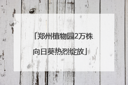 郑州植物园2万株向日葵热烈绽放