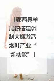 郧西县羊尾镇搭建调制大棚激活烟叶产业“新动能”