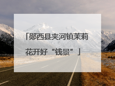 郧西县夹河镇茉莉花开好“钱景”