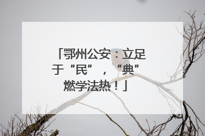 鄂州公安：立足于“民”，“典”燃学法热！