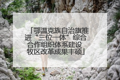 鄂温克族自治旗推进“三位一体”综合合作组织体系建设 牧区改革成果丰硕