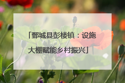鄄城县彭楼镇：设施大棚赋能乡村振兴