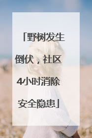 野树发生倒伏，社区4小时消除安全隐患