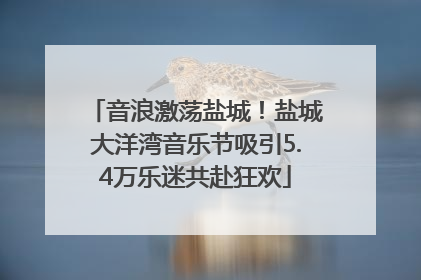 音浪激荡盐城！盐城大洋湾音乐节吸引5.4万乐迷共赴狂欢