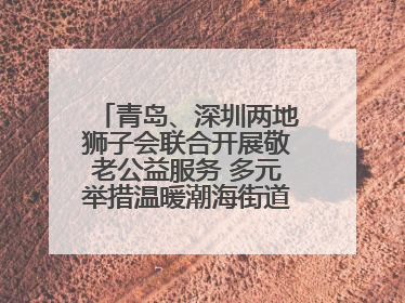 青岛、深圳两地狮子会联合开展敬老公益服务 多元举措温暖潮海街道南杨头村老人