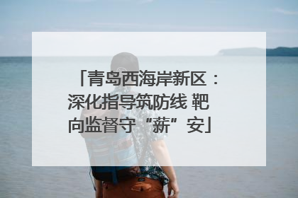 青岛西海岸新区：深化指导筑防线 靶向监督守“薪”安