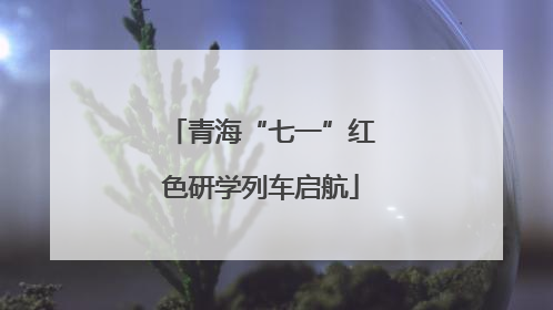 青海“七一”红色研学列车启航