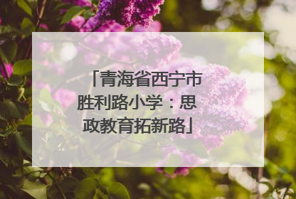 青海省西宁市胜利路小学：思政教育拓新路