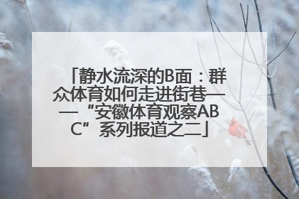 静水流深的B面：群众体育如何走进街巷——“安徽体育观察ABC”系列报道之二