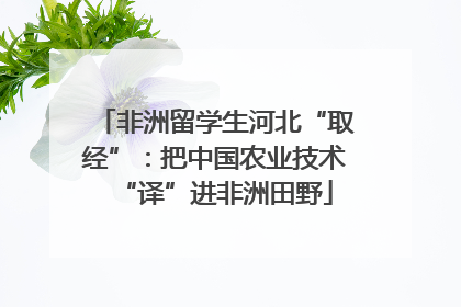 非洲留学生河北“取经”：把中国农业技术“译”进非洲田野