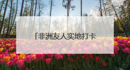 非洲友人实地打卡 中非经贸博览会品牌影响力再提升