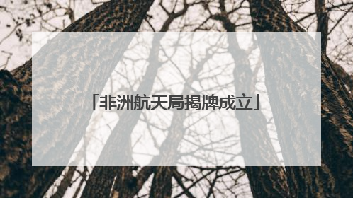 非洲航天局揭牌成立