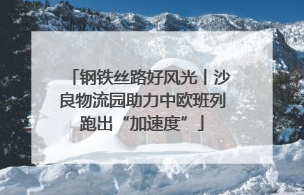 钢铁丝路好风光丨沙良物流园助力中欧班列跑出“加速度”