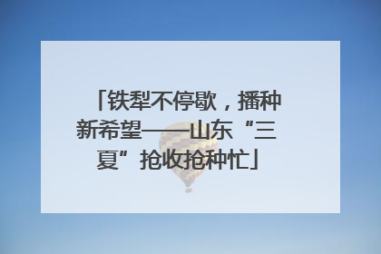 铁犁不停歇，播种新希望——山东“三夏”抢收抢种忙
