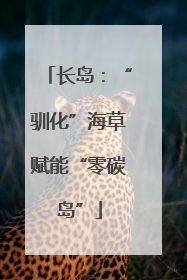 长岛：“驯化”海草赋能“零碳岛”