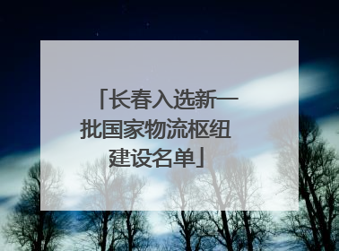 长春入选新一批国家物流枢纽建设名单