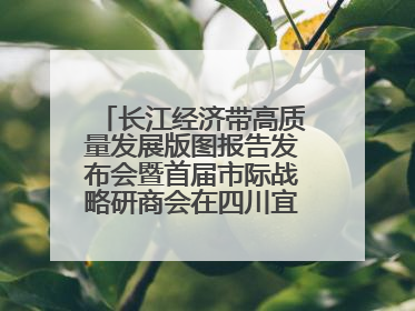 长江经济带高质量发展版图报告发布会暨首届市际战略研商会在四川宜宾成功举办