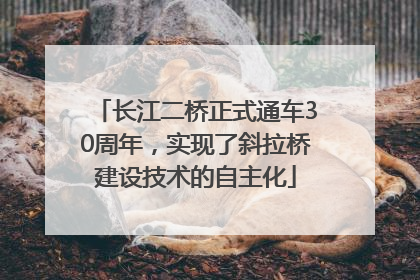长江二桥正式通车30周年，实现了斜拉桥建设技术的自主化