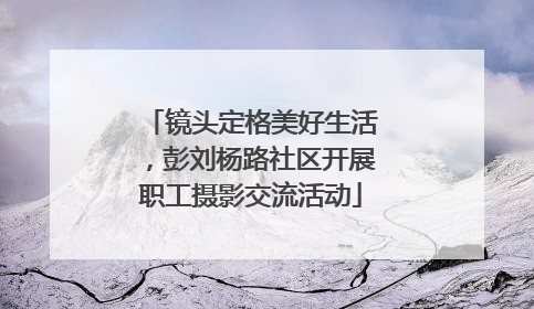 镜头定格美好生活，彭刘杨路社区开展职工摄影交流活动