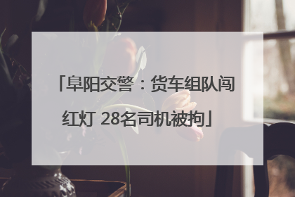 阜阳交警：货车组队闯红灯 28名司机被拘